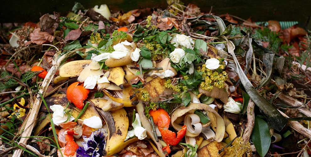 Kitchen Waste